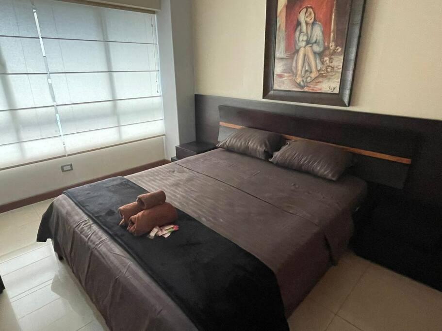 Suite 211 Quito Eksteriør billede